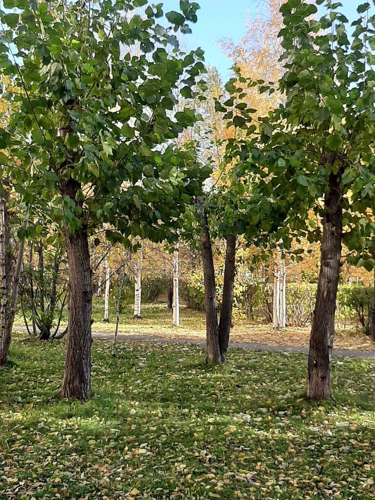 сквер Дружбы народов