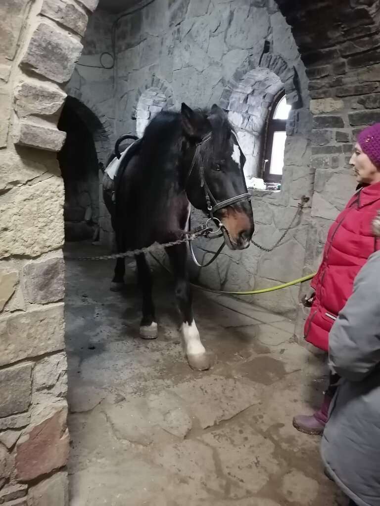 Дом белой лошади