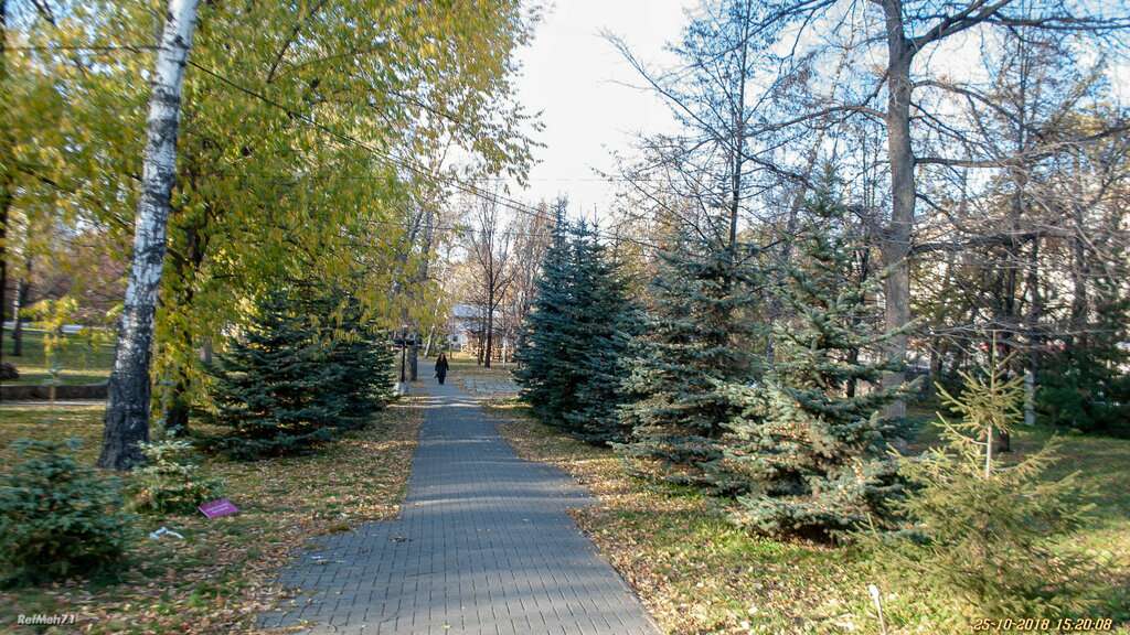 Администрация городского сада имени А. С. Пушкина