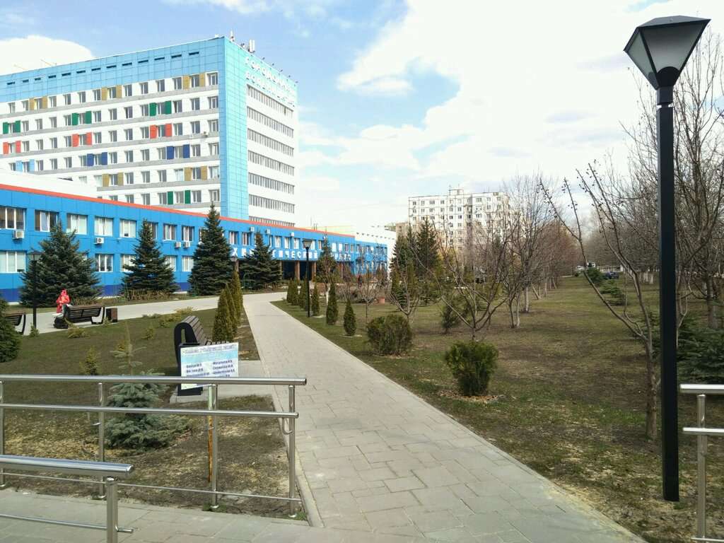 Аллея голубых елей