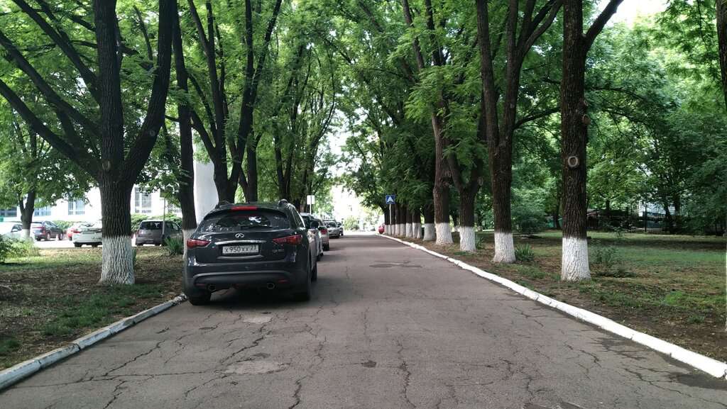 Ботанический сад НИИ Садоводства и виноградарства