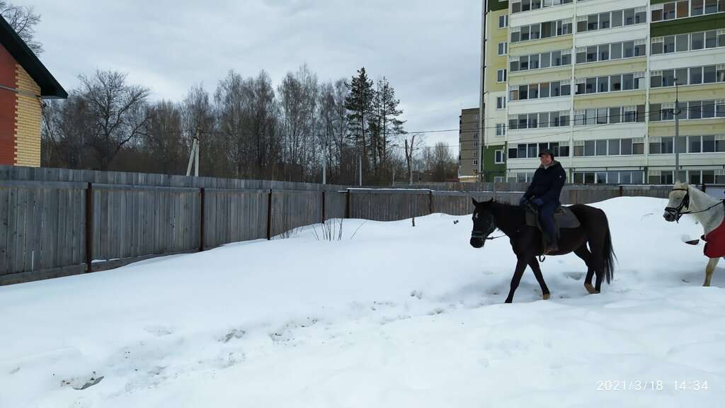 Полюшко