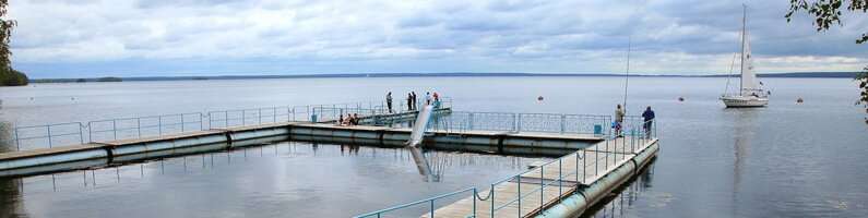 Лесная сказка