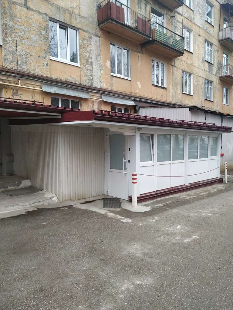 Тонус