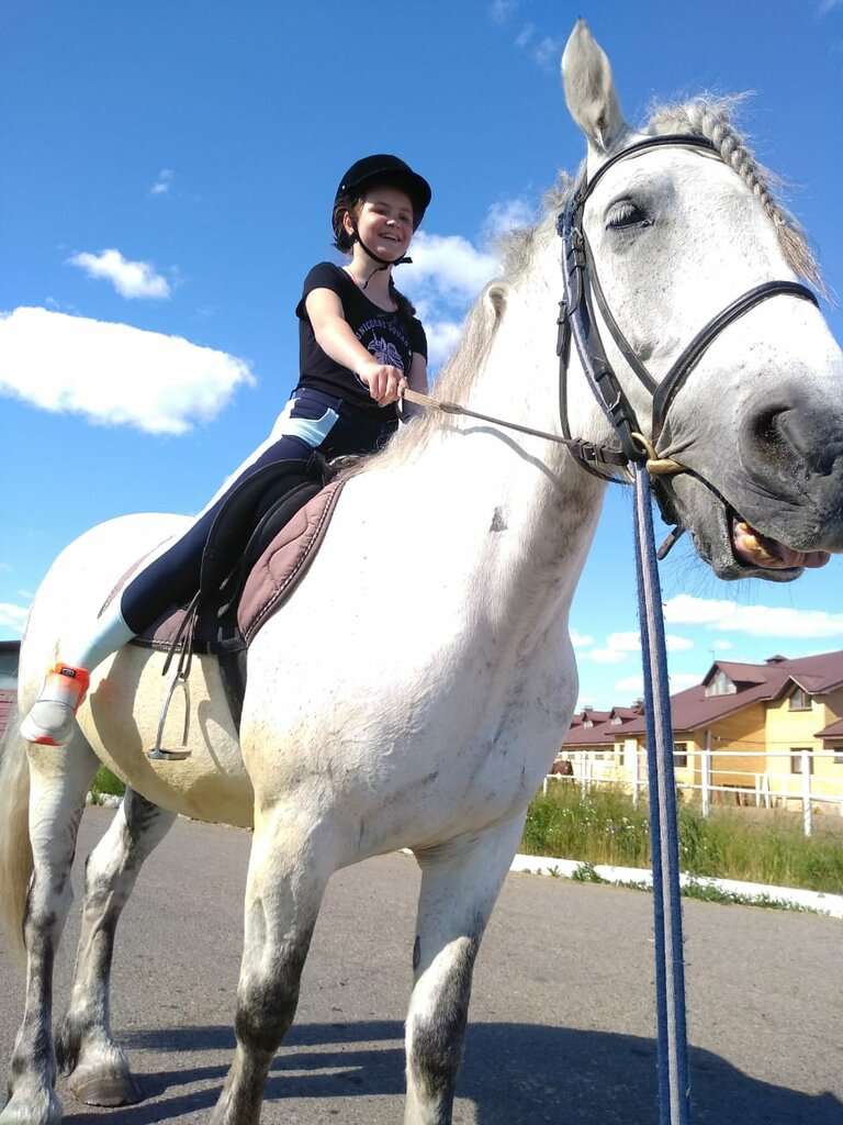 Центр иппотерапии и адаптивного конного спорта Айда