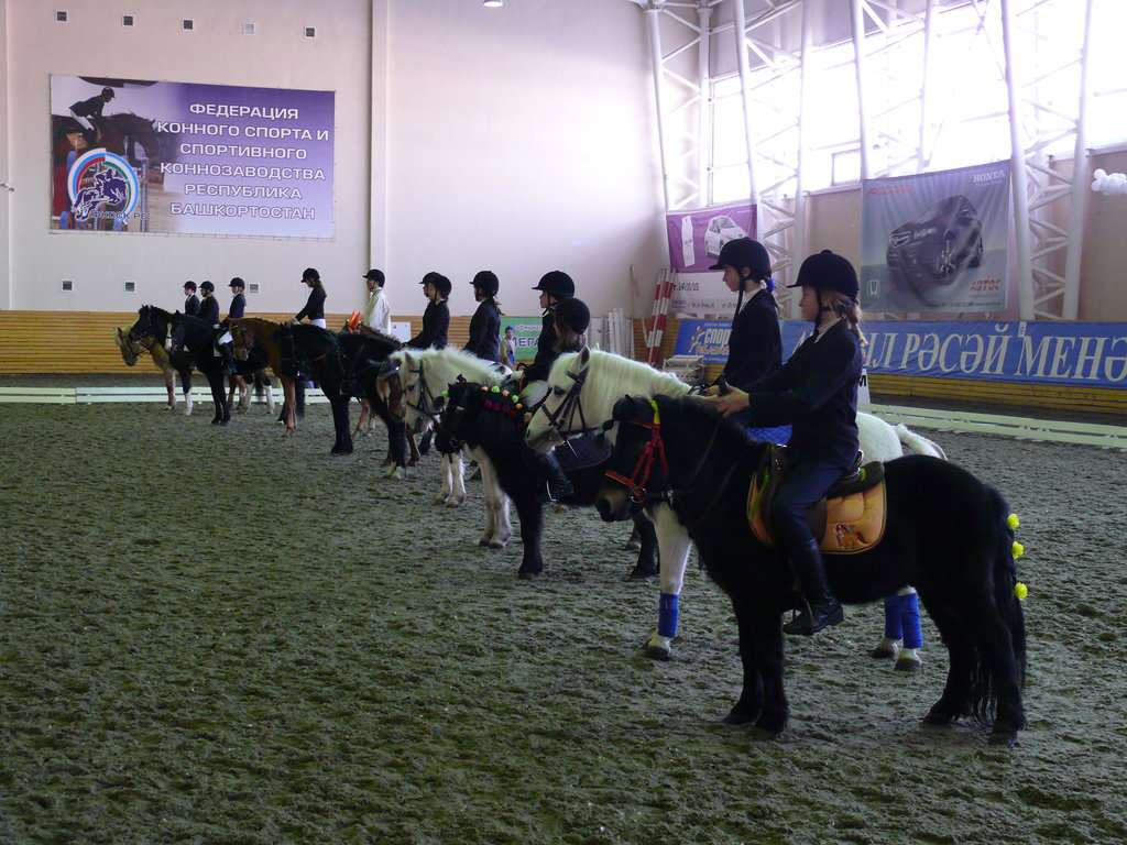 ГАУ Центр компетенции Республики Башкортостан по коневодству и конному спорту Акбузат