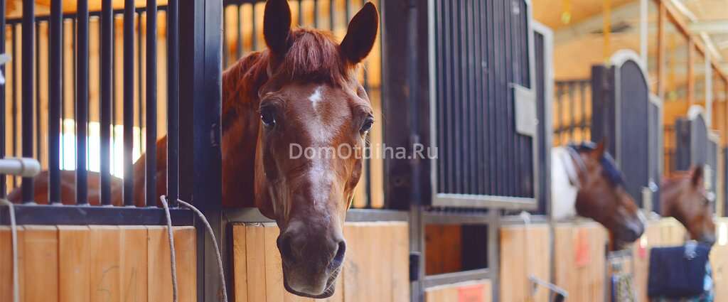 Ферма Владыкино