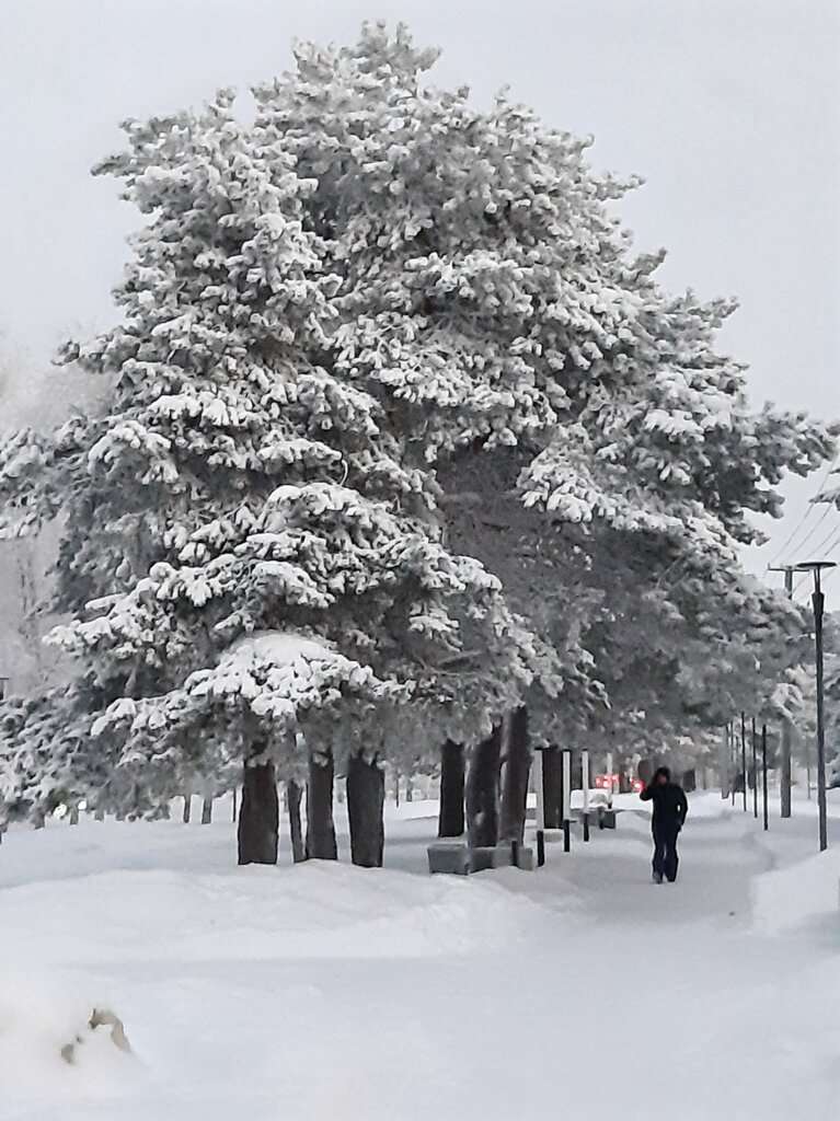 парк Геологов