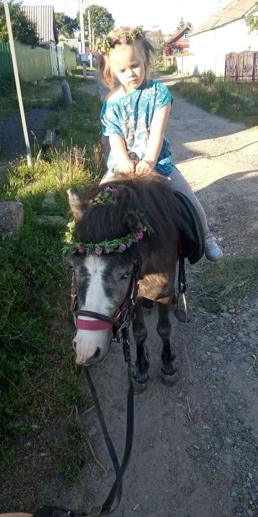 Катание на пони