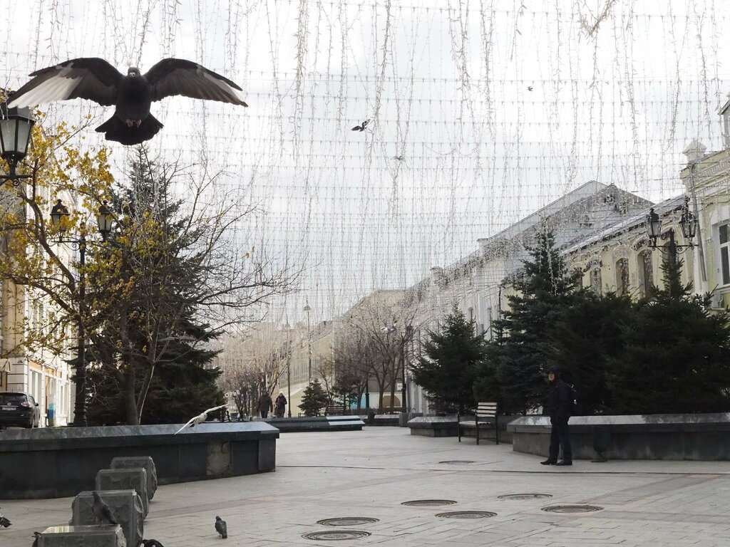 Пешеходная улица Фокина