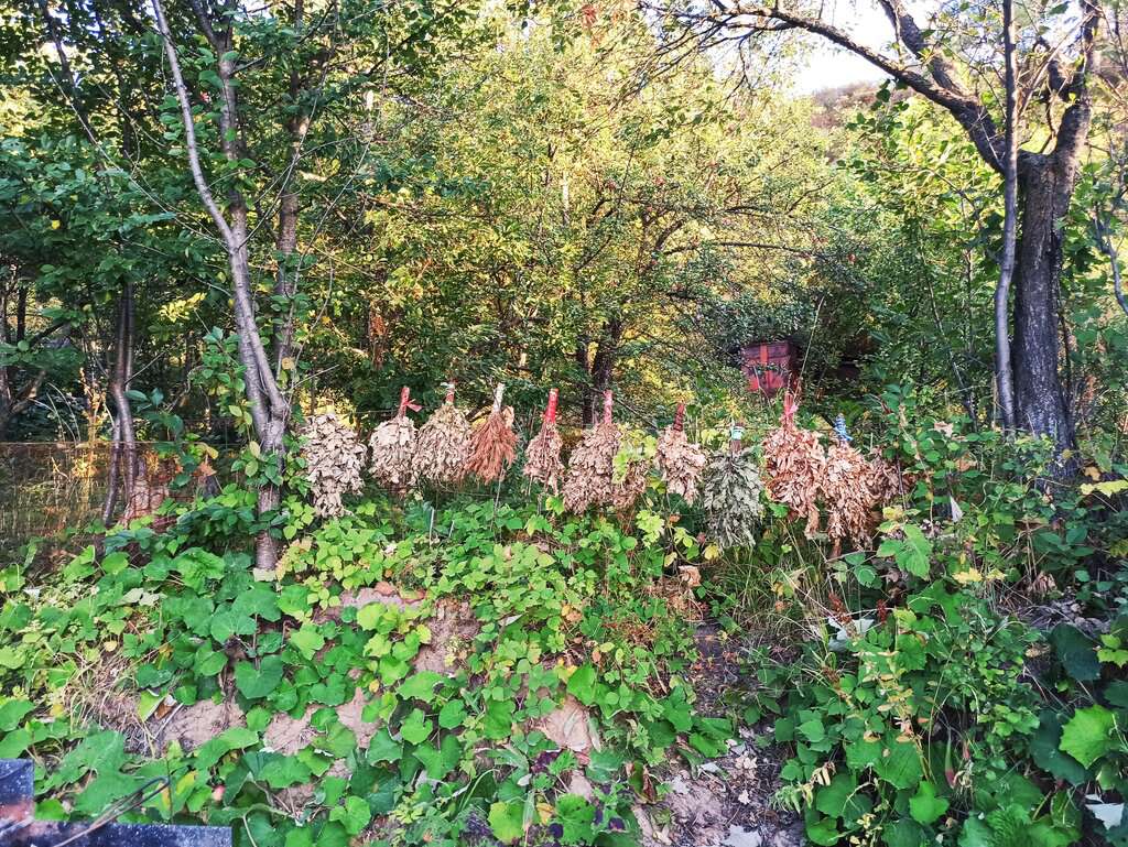 Выше города