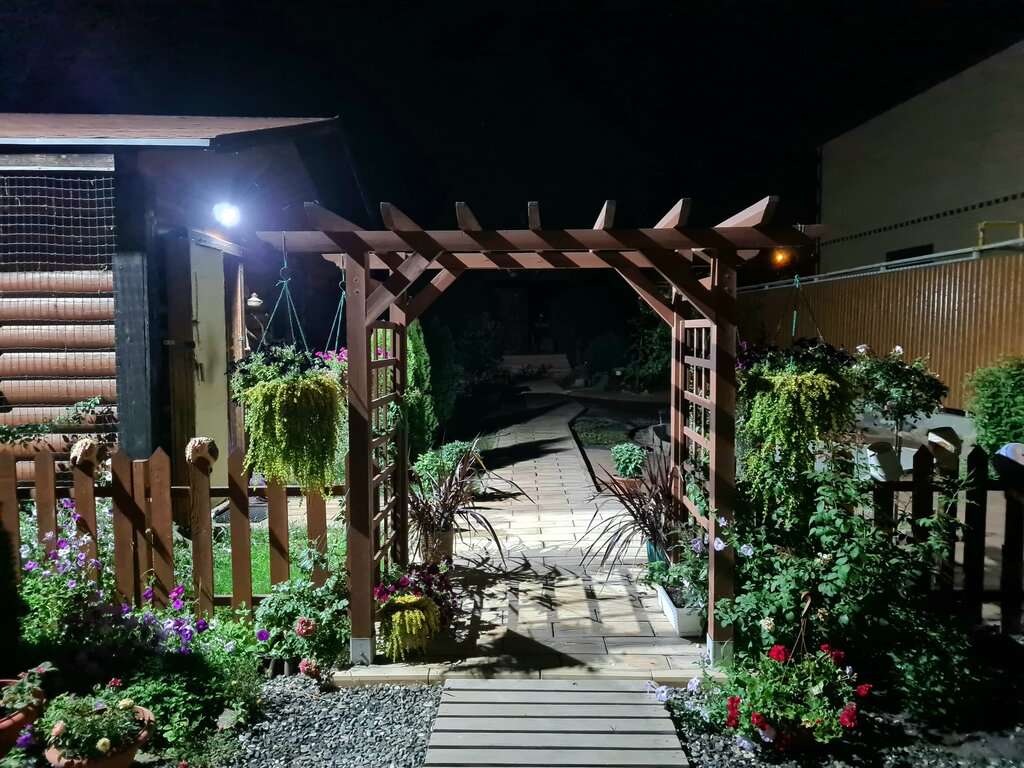 Доктор Баня