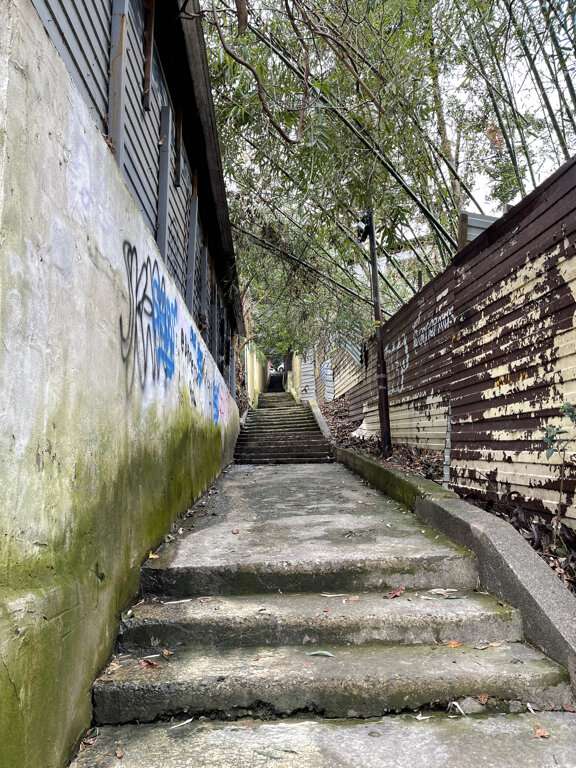 Видовая башня Роза ветров