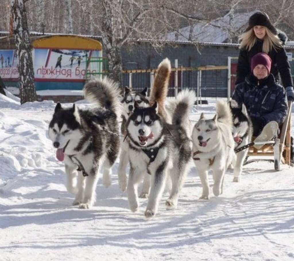 Быстрай