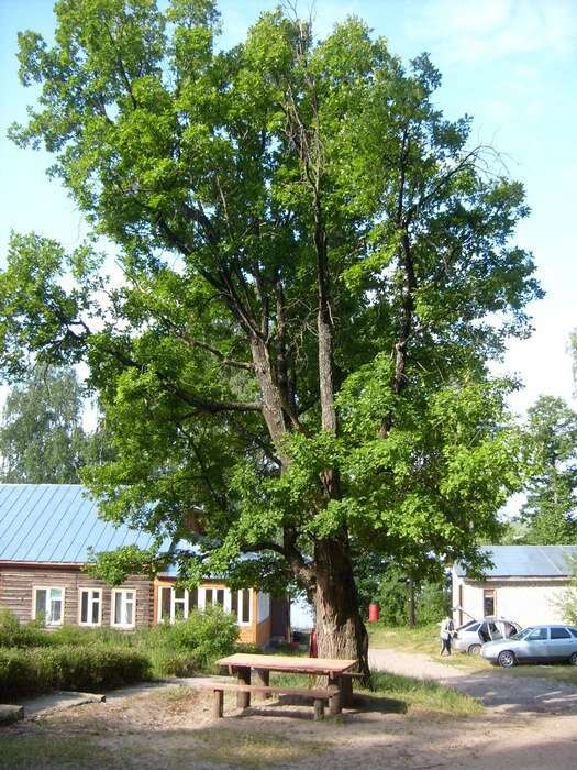 Экологическая база ННГУ