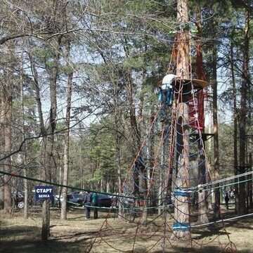 Лесной экстрим