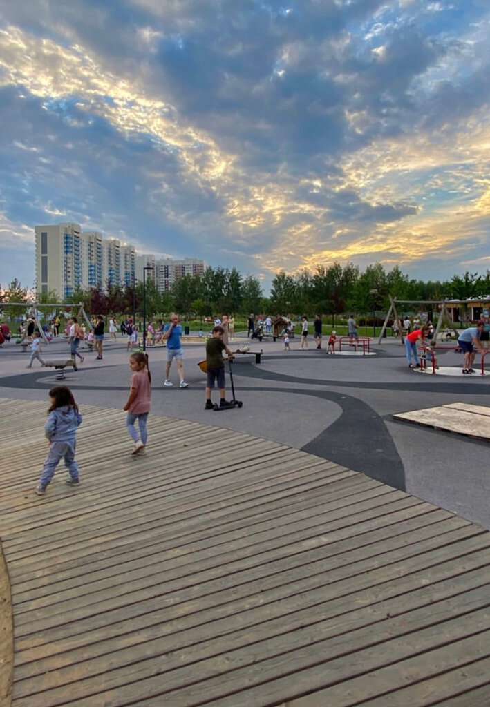 Берёзовая роща