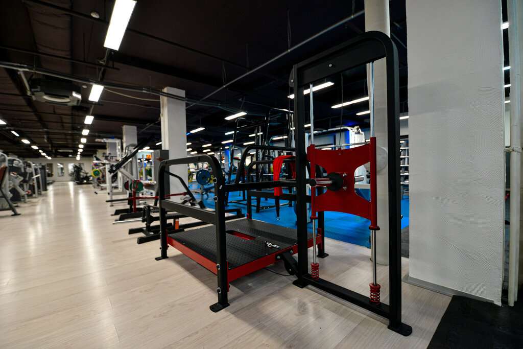 Единоборства и фитнес