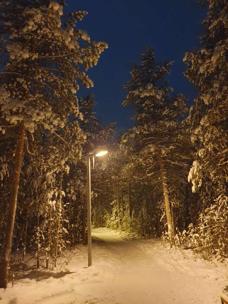парк Кедровый лог