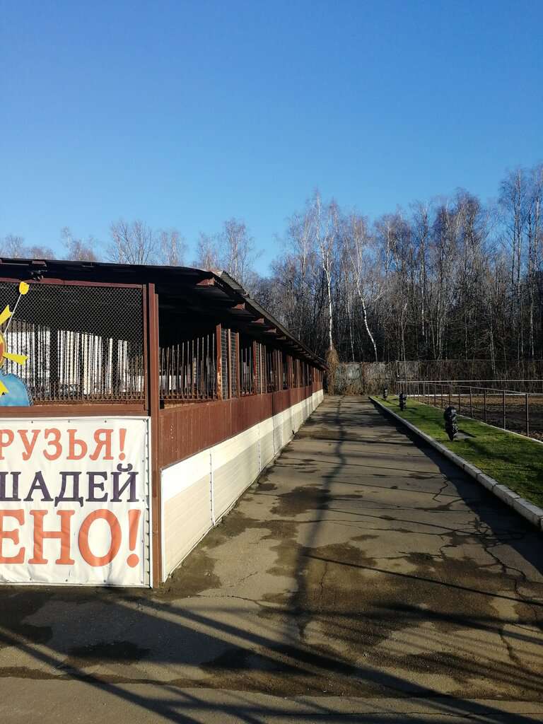 Большой московский пони-клуб