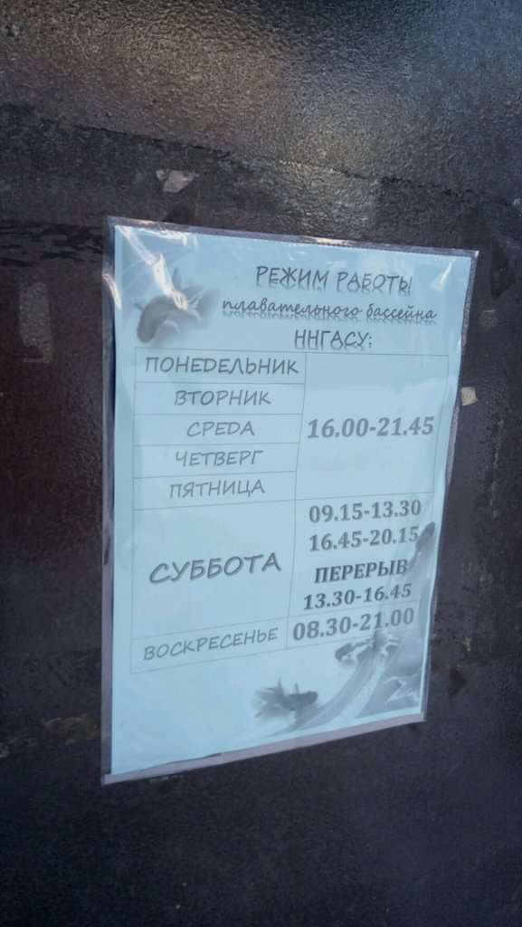 Нижегородский государственный архитектурно-строительный университет, бассейн