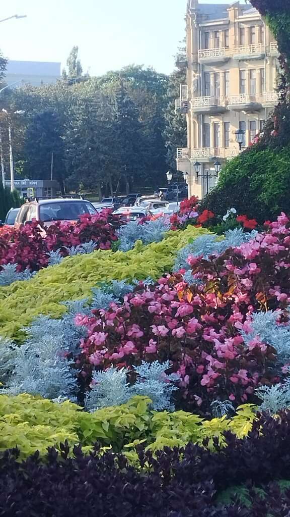 Комсомольский парк