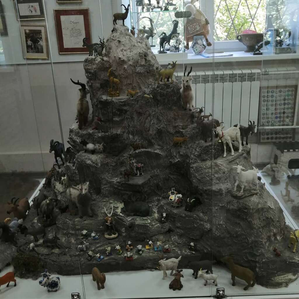 Музей козла