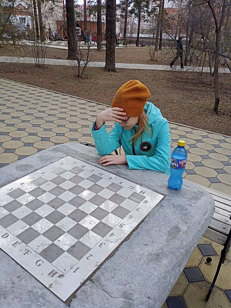Шахматный