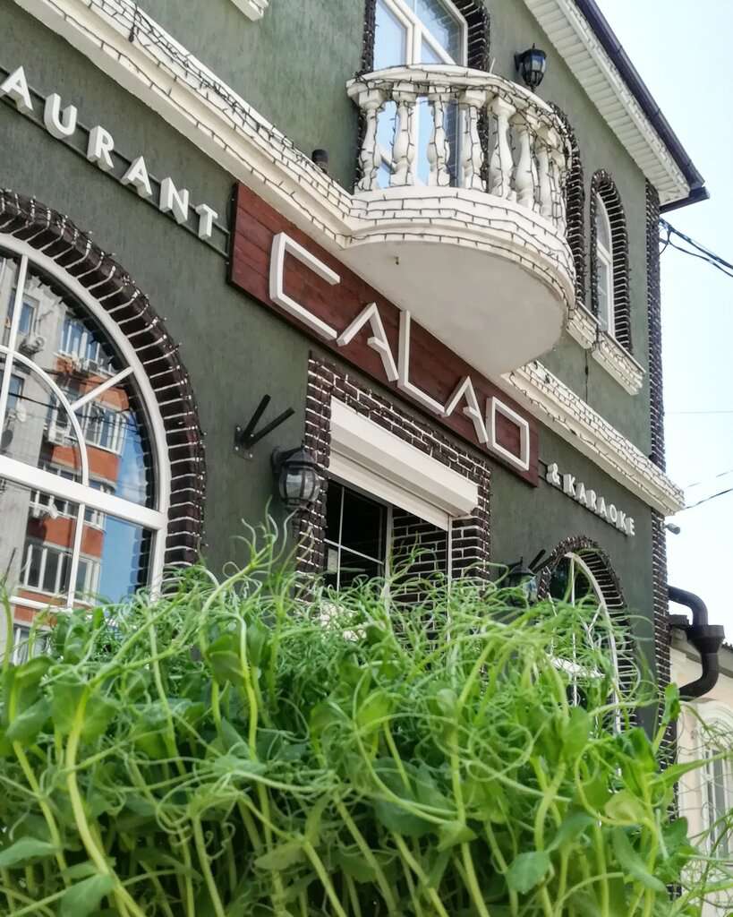 Calao
