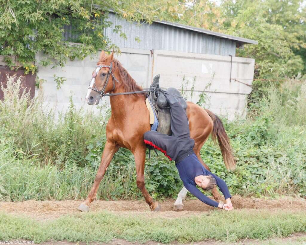 Сибирский казачий центр конного искусства Атаман