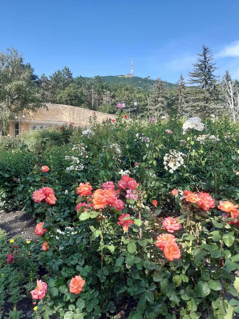 Лазаревский сквер