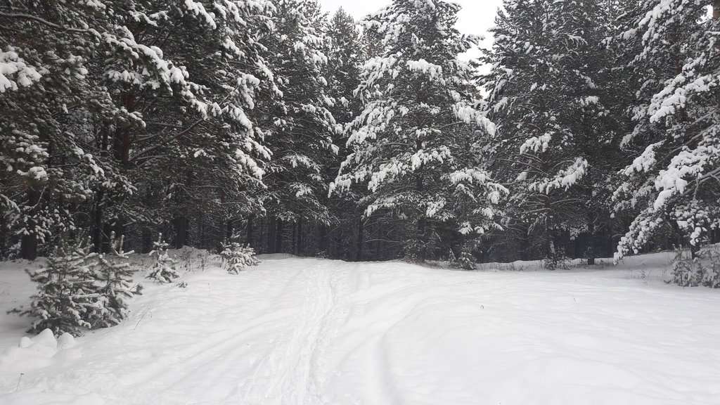 Гостевой дом Mratkinoru