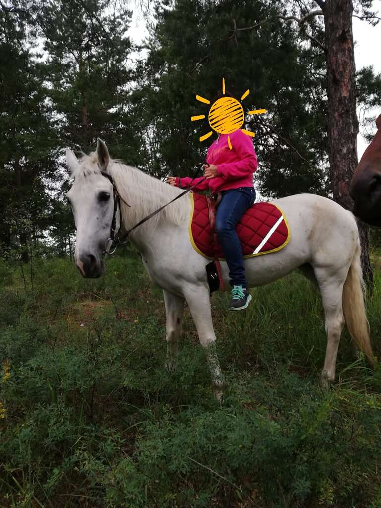 Крейзи-Пони