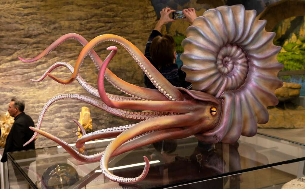 Минералогический музей Планета