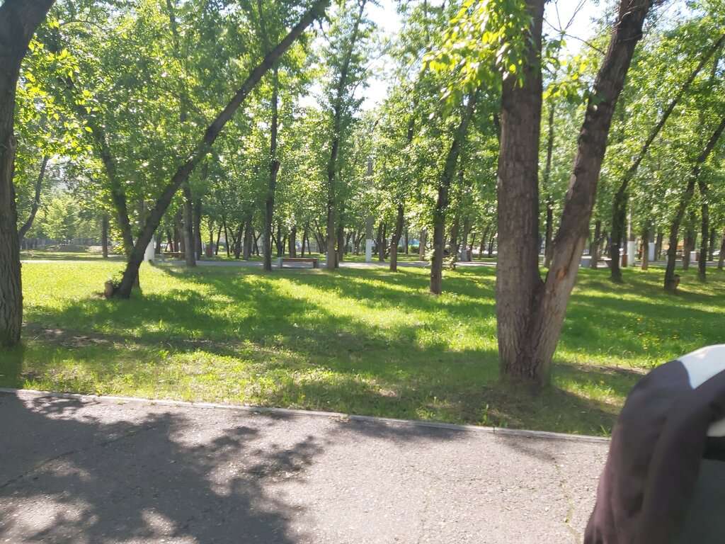 парк Сибэлектросталь