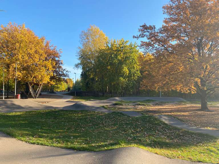 Горкинско-Ометьевский лес