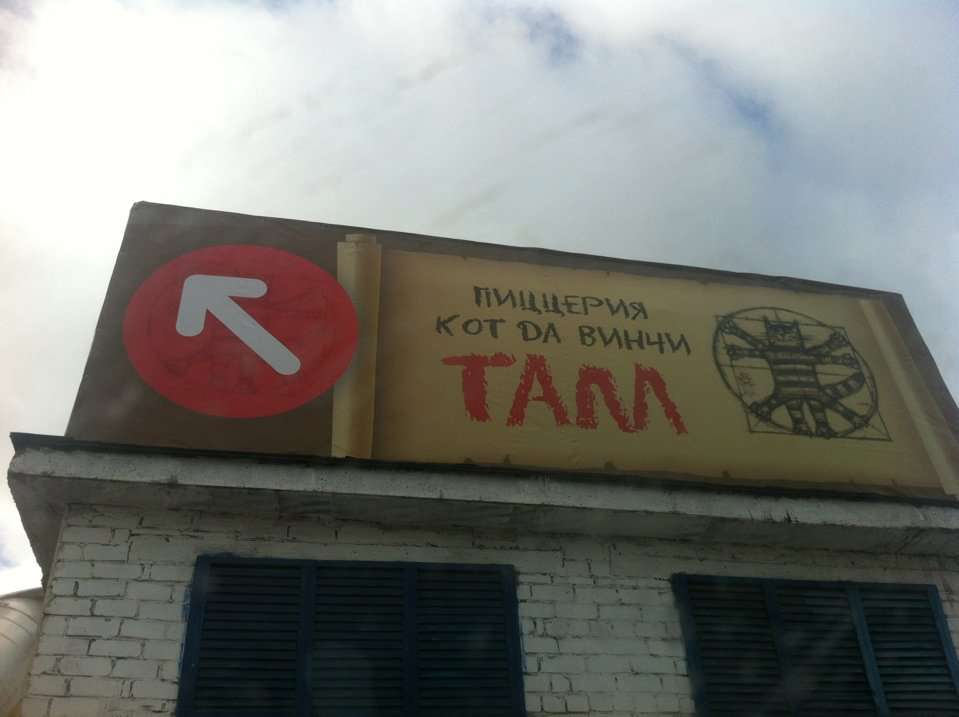 Кот да Винчи