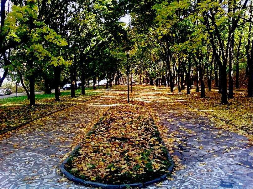 Александровский сад