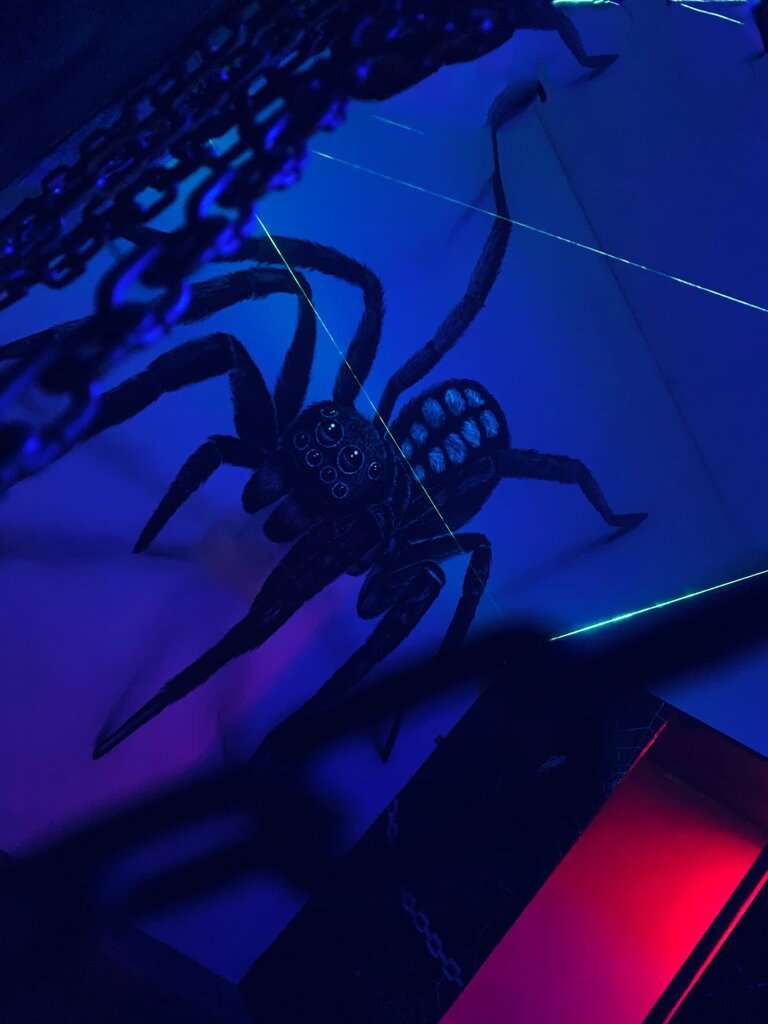 Коллекционер 2.0, Капкан