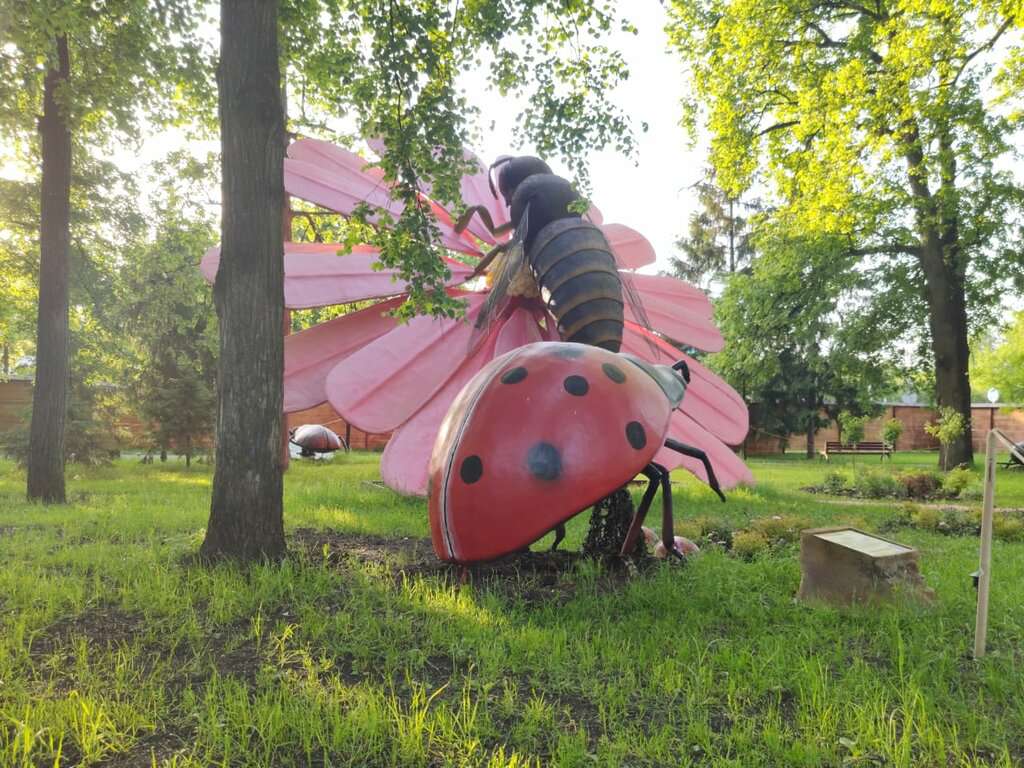 Beetle-House