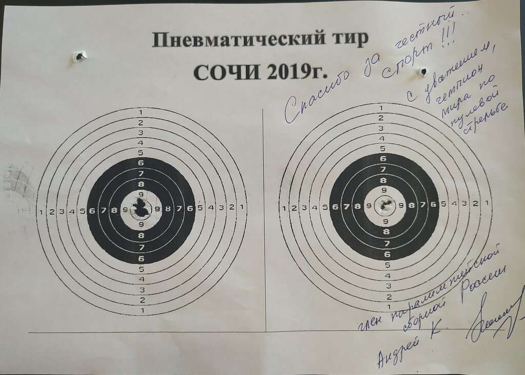 Пневматический тир