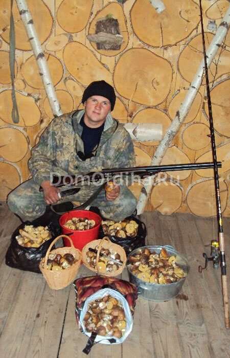 Токарево на Волге