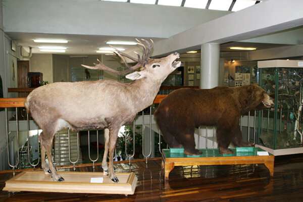 ГБУК Белгородский государственный историко-краеведческий музей