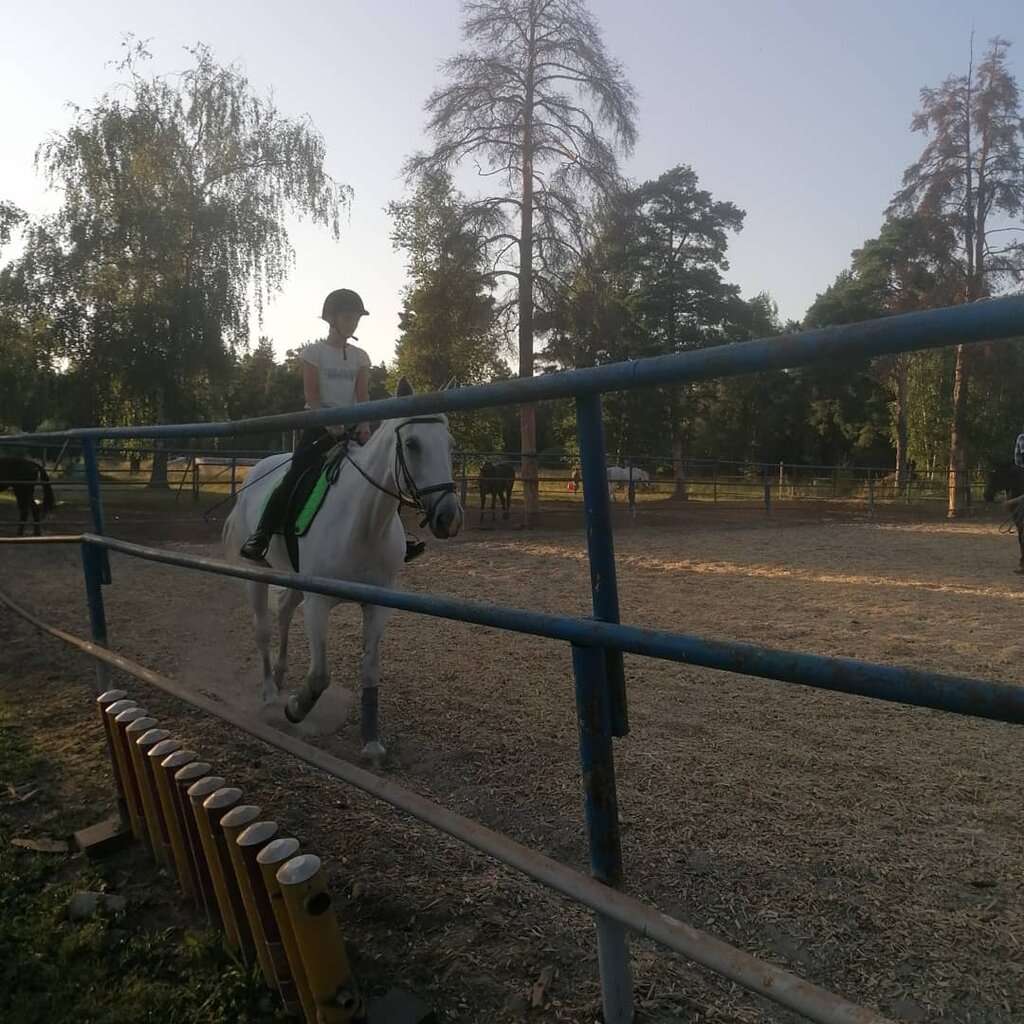 Зооцентр Надежда