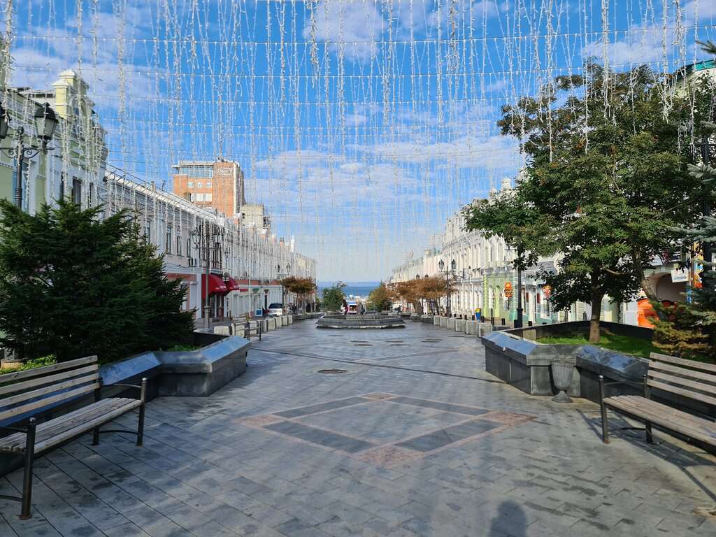 Пешеходная улица Фокина