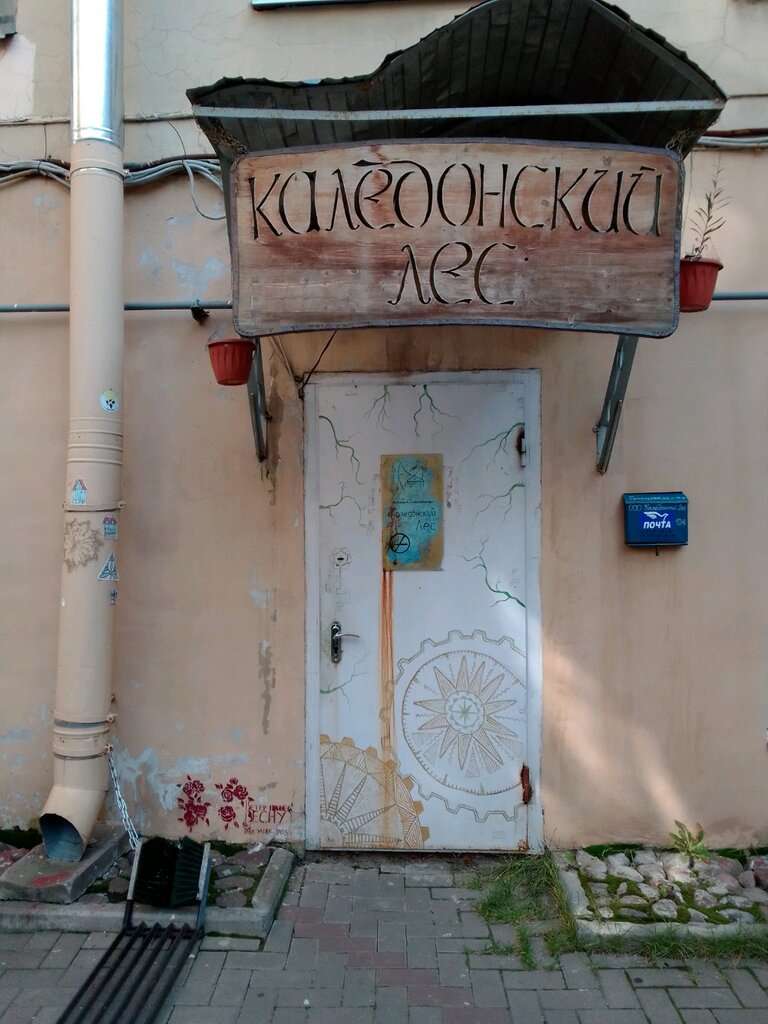 Каледонский лес