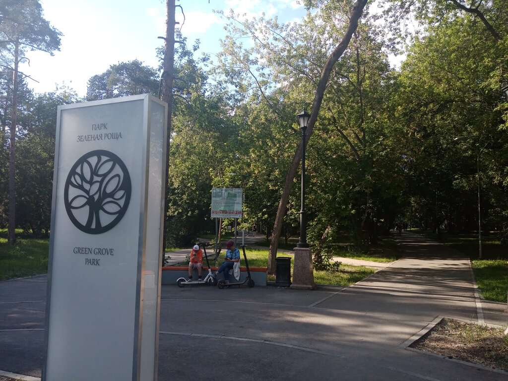 Зеленая роща