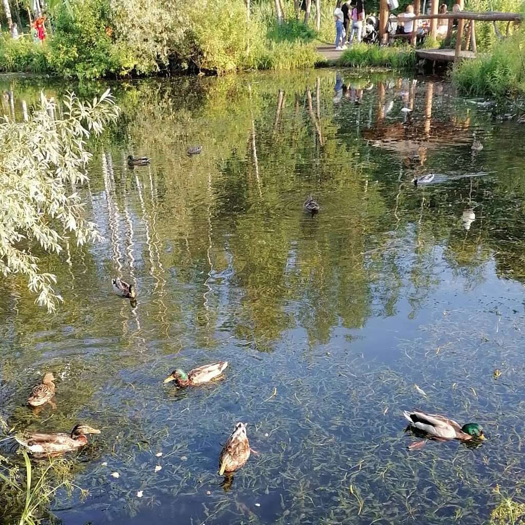 Парк культуры и отдыха