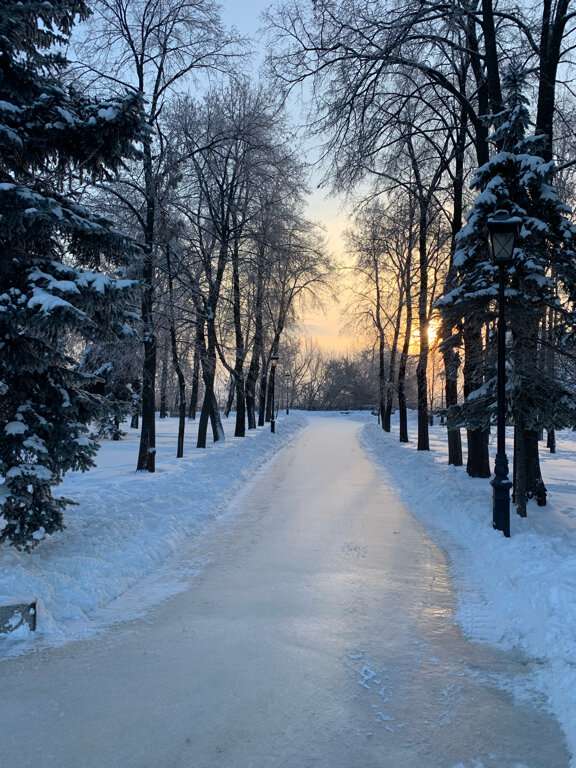 сквер Новый венец