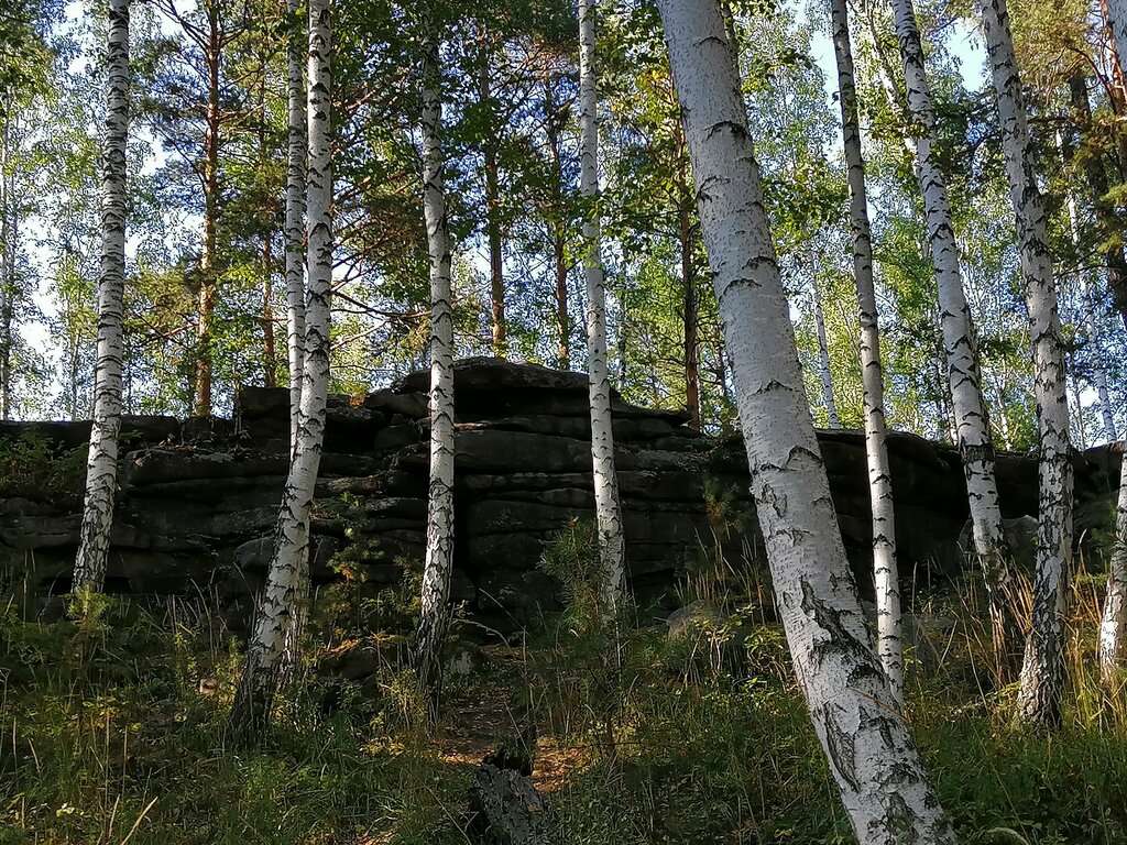 Лесопарк Шарташский